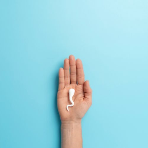 male fertility